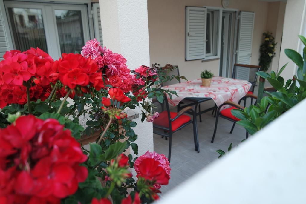 Apartments Jadranka Novaglia Esterno foto